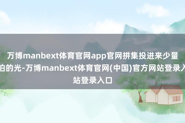 万博manbext体育官网app官网拼集投进来少量澹泊的光-万博manbext体育官网(中国)官方网站登录入口
